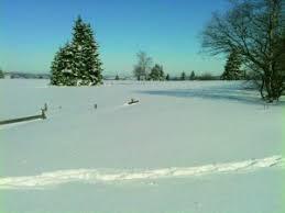 Höhenhang Langewiese